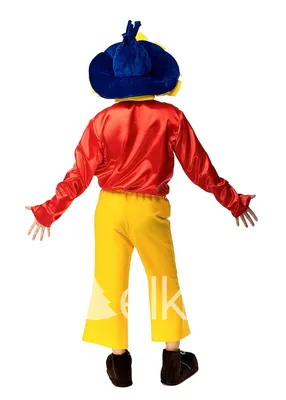 Детский костюм Незнайки (7161), 134-140 см. — купить в интернет-магазине по  низкой цене на Яндекс Маркете