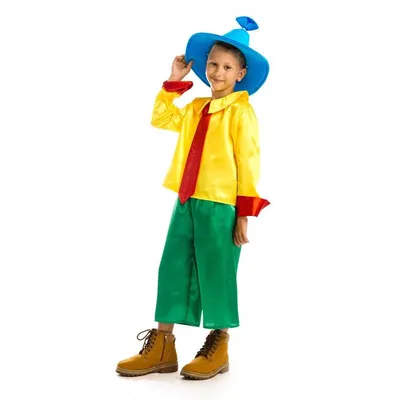 Карнавальный костюм Незнайка, рост 110 см купить по цене 2099 ₽ в  интернет-магазине KazanExpress