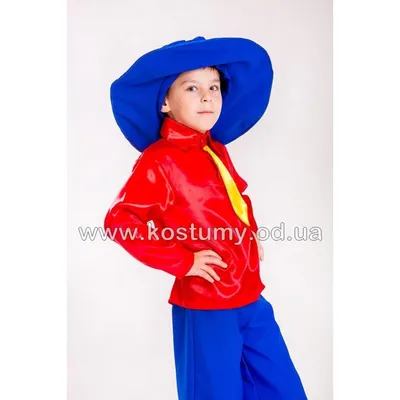 Карнавальный костюм «Незнайка», рост 110 см купить в Чите Сказочные костюмы  в интернет-магазине Чита.дети (3408445)