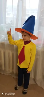 Карнавальный костюм Незнайки: продажа, цена в Одессе. Детские карнавальные  костюмы от \"Интернет-магазин \"Ledi-Moda\"\" - 1501046002