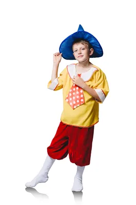 Карнавальный костюм \"Незнайка\", шляпа, рубашка, галстук, бриджи, 5-7 лет,  рост 122-134 см | AliExpress