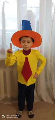 Карнавальный костюм детский Незнайка 364 - купить в интернет-магазине  Solnyshko.kiev.ua