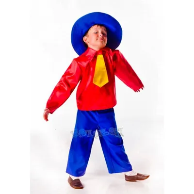 Купить Карнавальный костюм Незнайка для детей