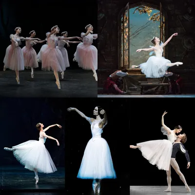 Виды женского балетного костюма | Балет наизнанку | Дзен