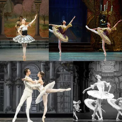 Виды женского балетного костюма | Балет наизнанку | Дзен