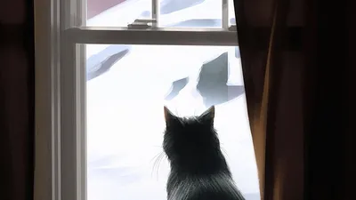 Зимний кот на окне стоковое фото. изображение насчитывающей отечественно -  166133572