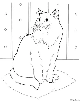 Раскраска Кот в задумчивости | Раскраски Коты, кошки и котята | Раскраски с  животными, Раскраски, Кошачий рисунок
