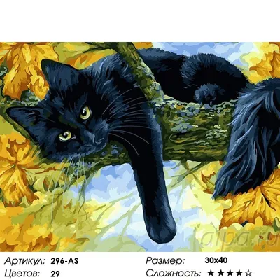 Картинка кота раскраска