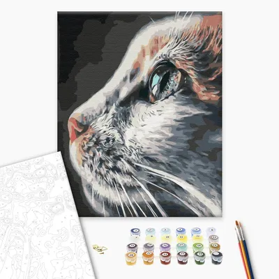 Картина по номерам ЖПН на холсте с подрамником \"Рыжий кот\", Раскраска  40х40, Кот Кошка Животные - купить с доставкой по выгодным ценам в  интернет-магазине OZON (164018699)