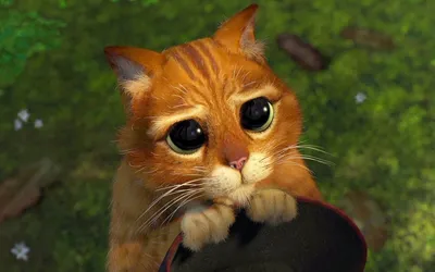 Кот в сапогах милые глазки (26 фото) | Кот, Мультфильмы, Шрек