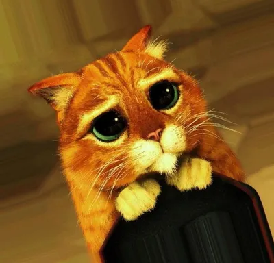 Кот в сапогах (Мультфильм 2011) смотреть онлайн в хорошем качестве