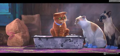 Улыбающийся Кот в сапогах из мультфильма Шрек — Аватары и картинки