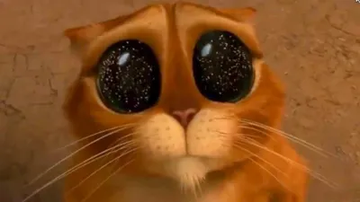 Кот в сапогах\": тизер мультфильма о спутнике Шрека