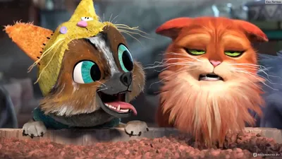 В новом трейлере мультфильма «Кот в сапогах 2» Пушистый Дон Жуан становится  домашним котиком