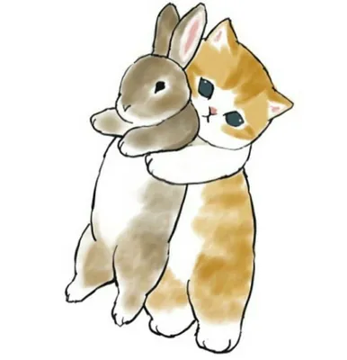Котики | Пикабу