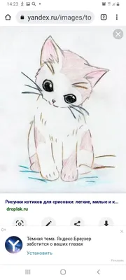 Хэллоуинские котики | Пикабу