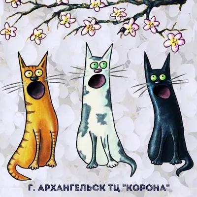 Зарисовки котиков | Пикабу