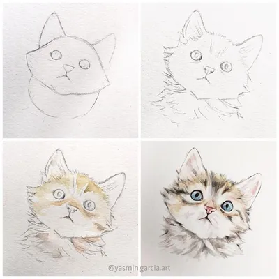 Няшные котики рисунки - 52 фото