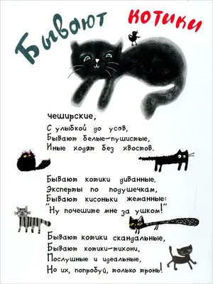 Кошки и коты. Факты и информация о котах и кошках