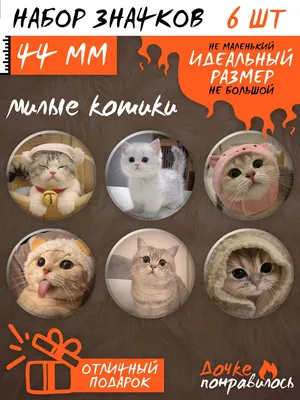 Котики вербные пушистые на ветках, 10 шт, h-25 см (ID#679179660), цена: 40  ₴, купить на Prom.ua