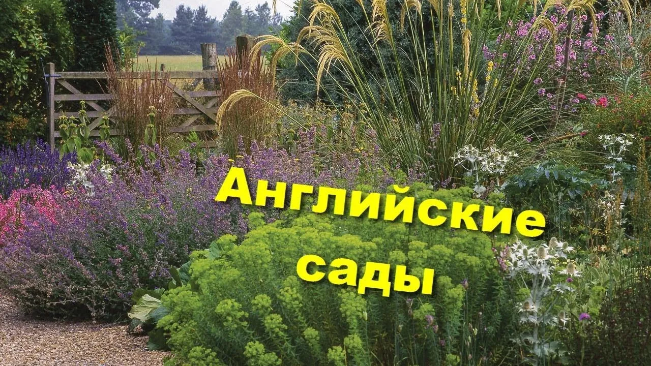 На этом фото Коттеджные Сады кажутся местом, где можно забыть обо всем На этом фото Коттеджные Сады кажутся местом, где можно забыть обо всем