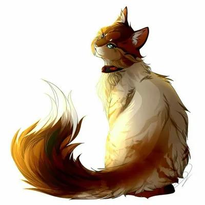 Скачать Коты-Воители. Герои книг APK для Android