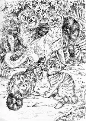 Картинки из книги \"Герои племен\" — Коты-Воители Знамение Звёзд