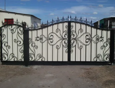 Фотография кованых ворот: вдохновение для создания уникального дизайна