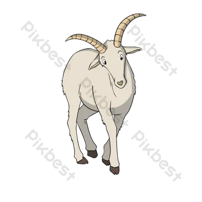 Козёл Мультяшный, Мультяшный Трава на Овце, Персонаж из мультфильма,  млекопитающее, животные png | Klipartz