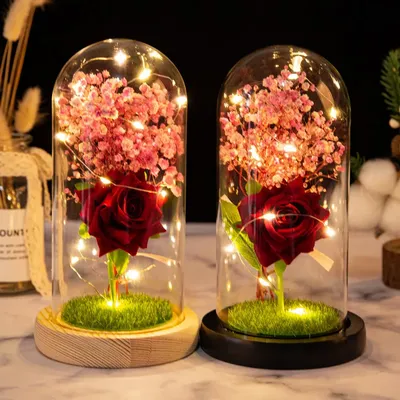 Красная роза в колбе Красавица и Чудовище стеклянный купол на деревянной  подставке подарок на день Святого Валентина | AliExpress
