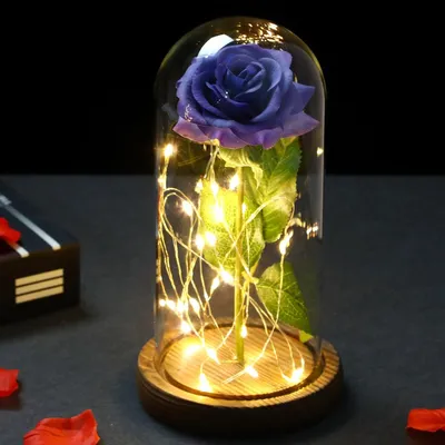Роза в колбе с LED подсветкой МАЛЕНЬКАЯ с лебедем Красная