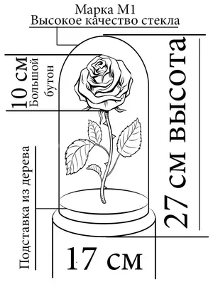 Набор игровой Белль Красавица и Чудовище Зачарованная роза Disney Beauty  and the Beast - купить с доставкой по выгодным ценам в интернет-магазине  OZON (263072845)