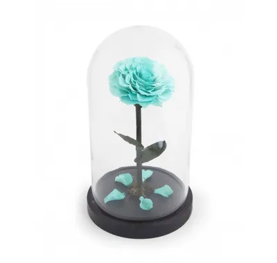 Искусственная роза с гирляндой под стеклянным куполом Роза-ночник из  мультфильма \"Красавица и чудовище\" ФОТО (ID#1417179482), цена: 416.90 ₴,  купить на Prom.ua