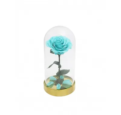 Роза в колбе долговечная из сказки Красавица и Чудовище маленькая высота 22  см (id 87614935), купить в Казахстане, цена на Satu.kz