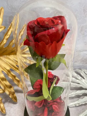 Цветок Красавица и чудовище, светодиодная вечная роза в стеклянной  фоторамке для декора, свадебные новогодние подарки для дома | AliExpress