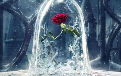 Обои на рабочий стол Замороженная роза из фильма Красавица и чудовище /  Beauty and the Beast, обои для рабочего стола, скачать обои, обои бесплатно