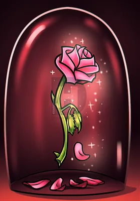 Зачарованное розовой Rosa на белом фоне Красавица и чудовище выросли  Хранимая роуз, сохранившийся цветок Стоковое Фото - изображение  насчитывающей влюбленность, рамка: 168699872