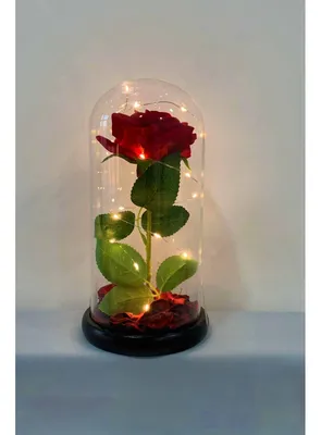 Роза под колпаком из мультфильма «Красавица и Чудовище» | Кунштюк  кибермаркет