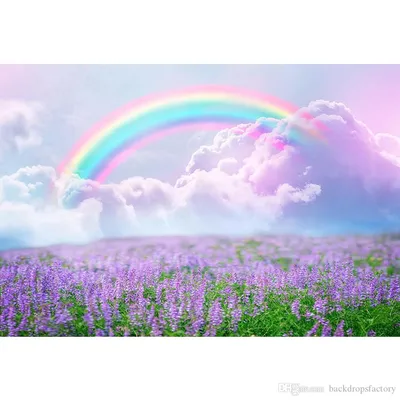 Картина Красивая радуга для детей №15827 на холсте в интернет-магазине  картин Walldeco