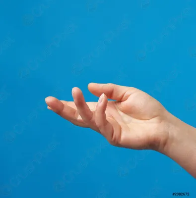 Изображение женской руки с позой