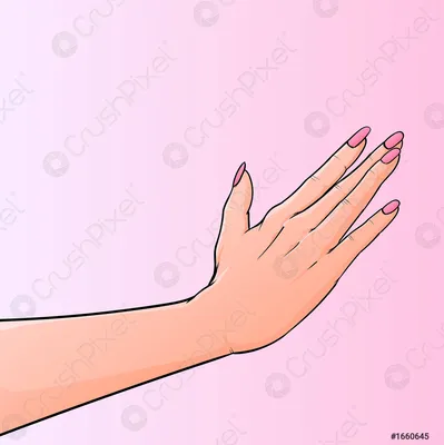 Фотография красивой женской руки