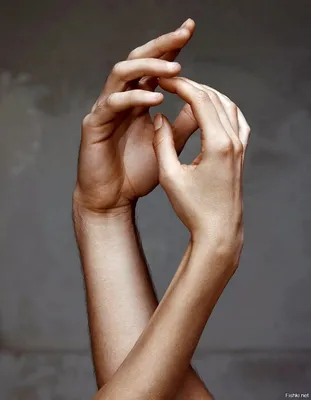 Изображение женской руки с узором на ногтях