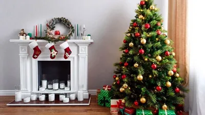 Как украсить ёлку по фэншуй, чтобы превратить новогоднее дерево в магнит  добра и денег