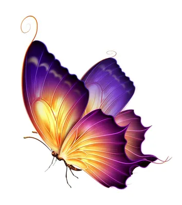 Яндекс.Фотки переехали | Butterfly pictures, Butterfly tattoo designs,  Butterfly art