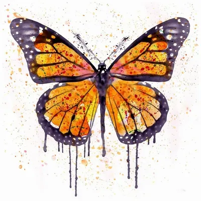 Красивая безшовная предпосылка цветов бабочек черно-белых. Нарисованные  вручную линии контура и ходы. Иллюстрация вектора - иллюстрации  насчитывающей иллюстрация, насекомое: 38143975