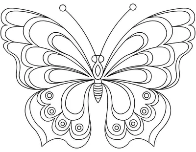 Бабочки картинки для вырезания цветные. Картинки бабочки красивые на� |  поделки | Постила