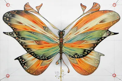 Бабочки рисованные картинки - 62 фото