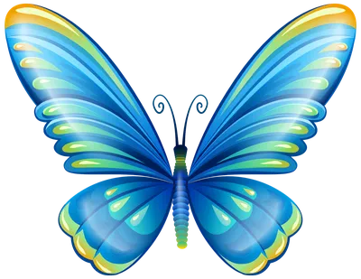 Комплект различных бабочек и черепашок с красивыми картинами на крылах  Нарисованные рукой иллюстрации вектора Иллюстрация вектора - иллюстрации  насчитывающей икона, ретро: 95502899