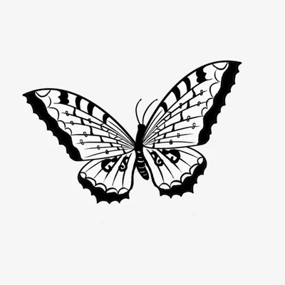 Рисунок девушка бабочка - 74 фото