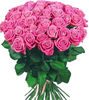 Красивые букеты роз с днем рождения - 73 фото | Розы, Букет роз, Красные  розы